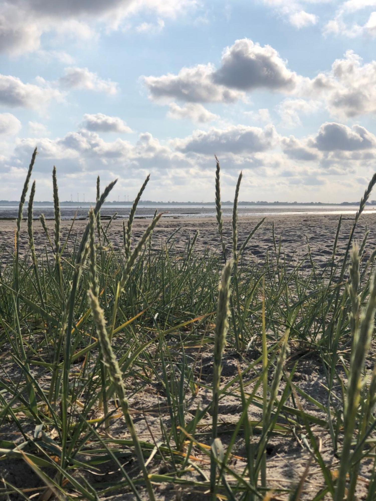 Friesenbude Fokko Varel Exteriér fotografie